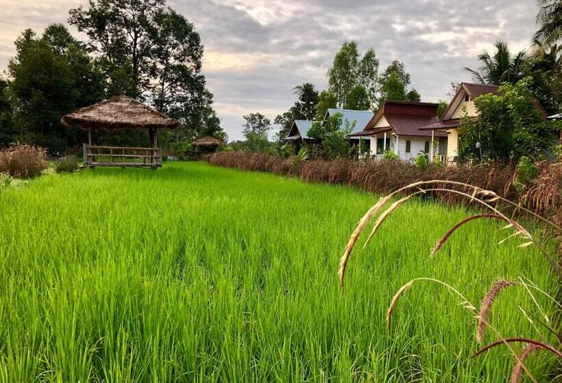 اتاق استاندارد با بالکن, Baan Thung Home Stay