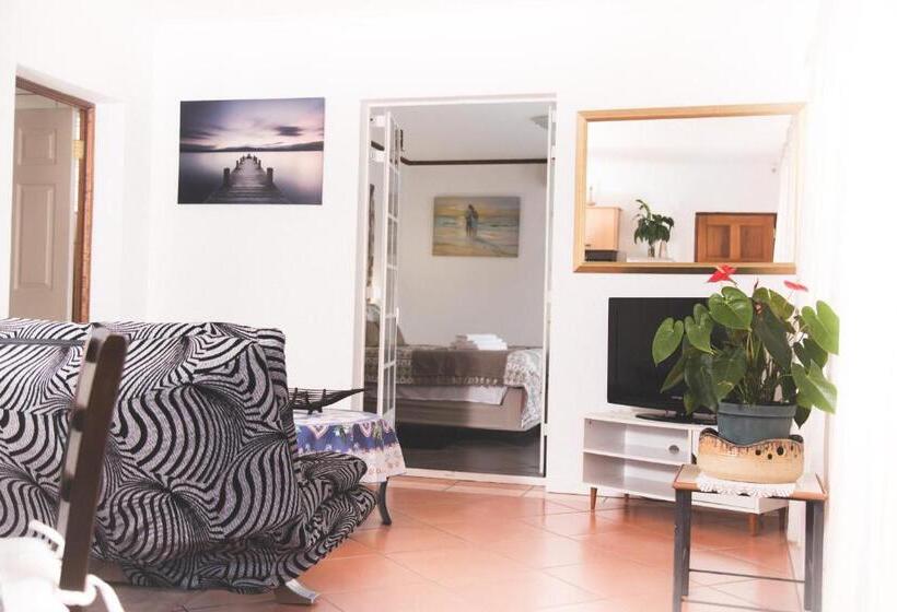 Apartamento 1 Quarto, 29 Polvy Street