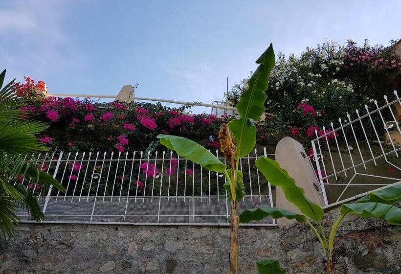 غرفة قياسية, Olguita
