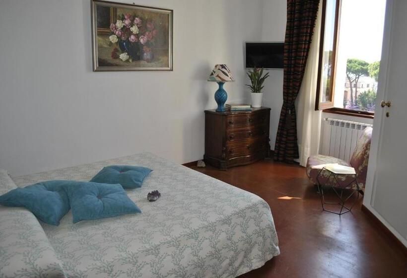 Номер Стандарт, Buba Bnb Superior