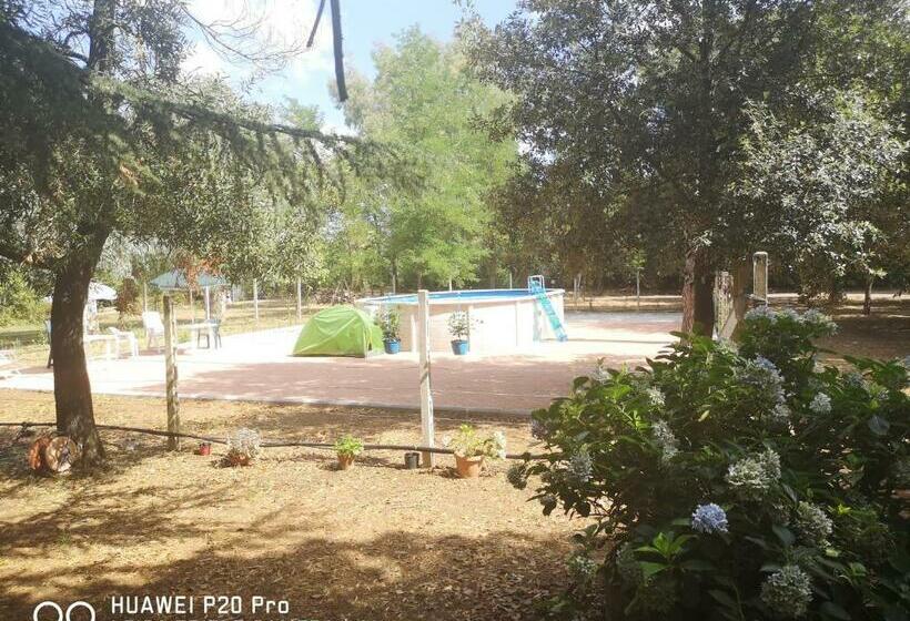 스탠다드 트리플 룸, Agriturismo La Giannottola
