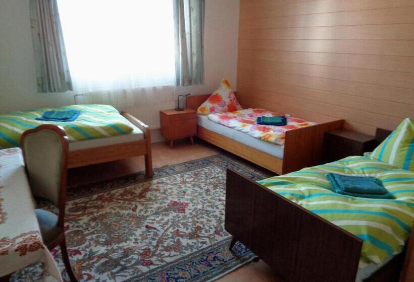 اتاق استاندارد سه تخته با سرویس بهداشتی مشترک, Gasthaus Helena