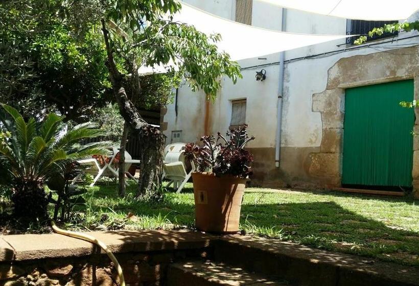 Quarto Estandar, Mas Pericay