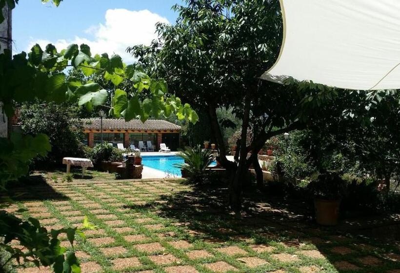 Quarto Estandar, Mas Pericay