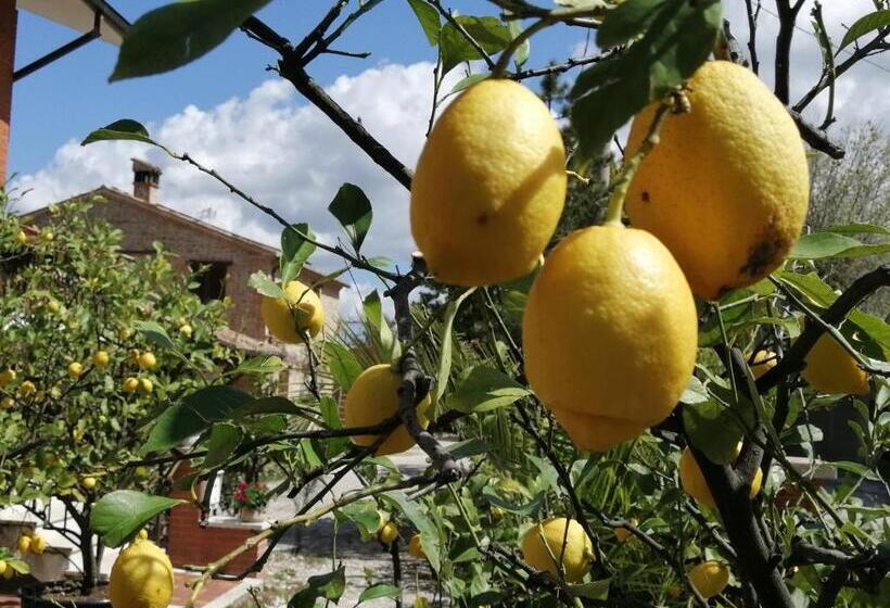 Дом 4 Спальни, Casale San Martino Agriturismo Bio