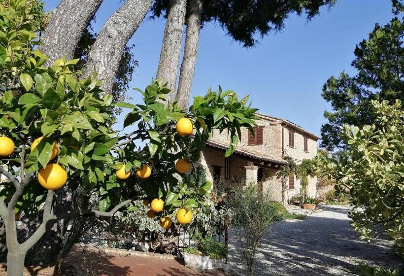 Апартаменты 1 Спальня Нижний Этаж, Casale San Martino Agriturismo Bio