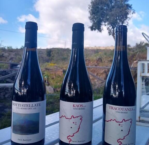 آپارتمان 1 خوابه با چشم‌انداز دریا, Ecoagriturismo Notti Stellate Etna Mare