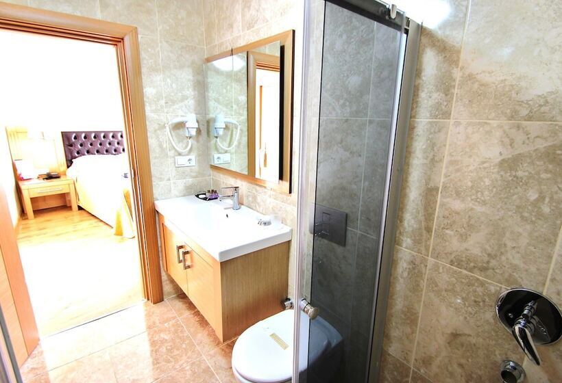 اتاق سوپریور, Levent Hotel Istanbul