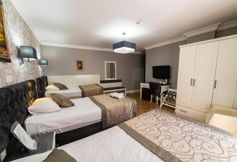 اتاق استاندارد سه نفره, Levent Hotel Istanbul