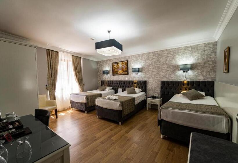 اتاق استاندارد سه نفره, Levent Hotel Istanbul