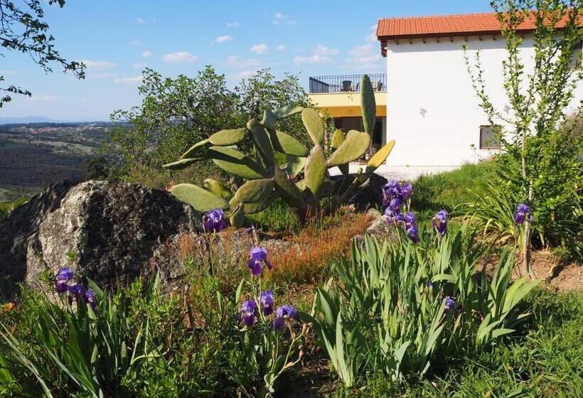 Номер Стандарт, Quinta Vale Porcacho