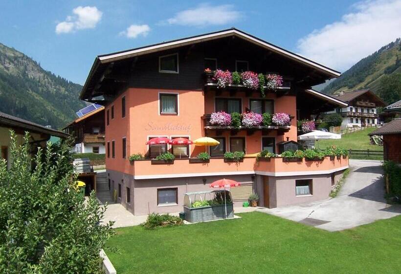 اتاق استاندارد, Frühstücks  Pension Sonnblickhof