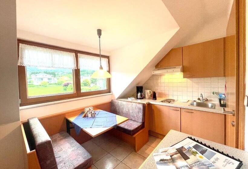 شقة غرفة واحدة ذات إطلالة, Seeappartements Bacher