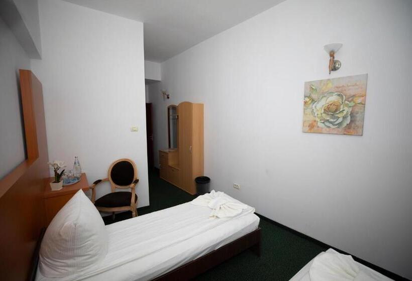 Standard Single Room, Arta