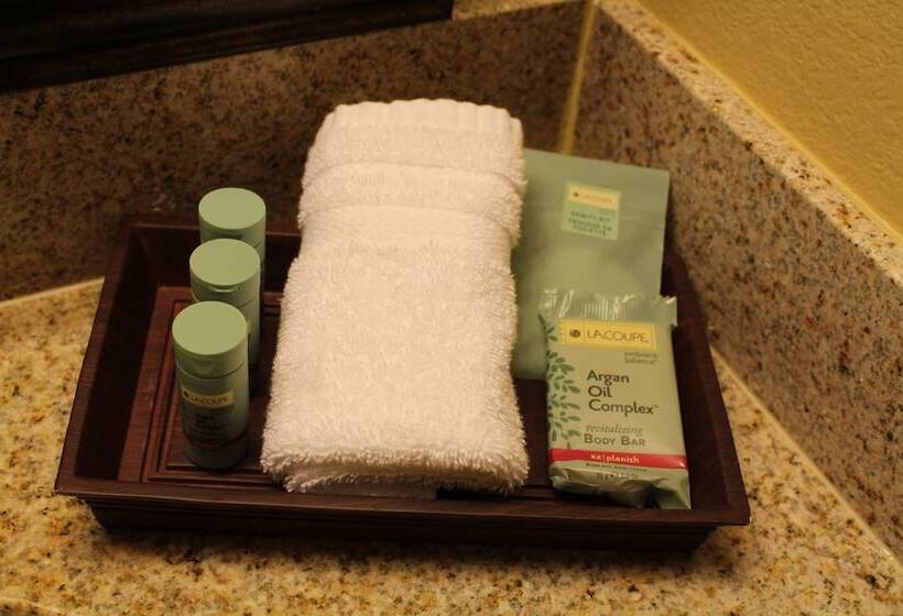 身障者適用スイートルーム, Best Western San Isidro Inn