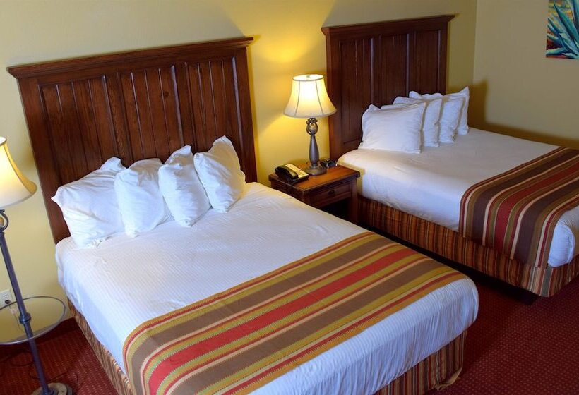 エクゼクティブルーム, Best Western San Isidro Inn