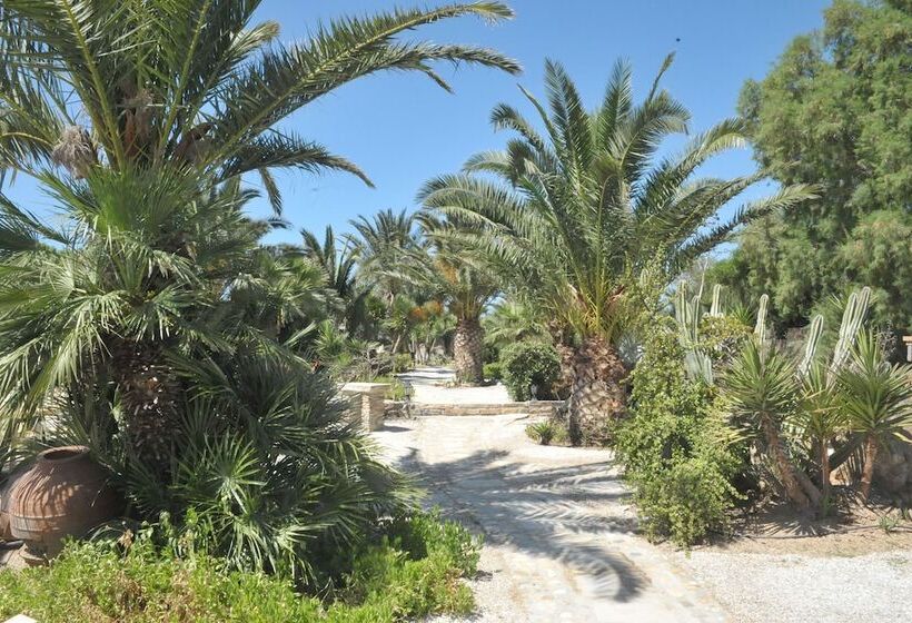 سوییت جونیور, Medusa Beach Resort & Suites