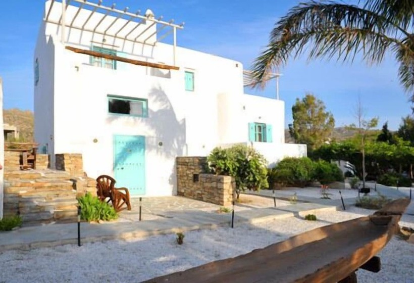 سوییت جونیور, Medusa Beach Resort & Suites