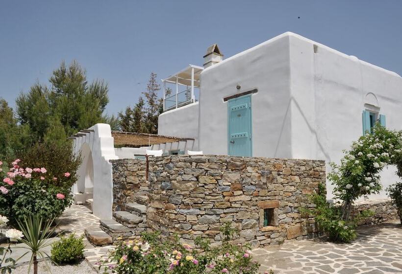 سوییت اجرایی, Medusa Beach Resort & Suites