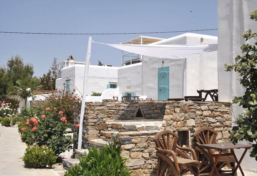 سوییت اجرایی, Medusa Beach Resort & Suites