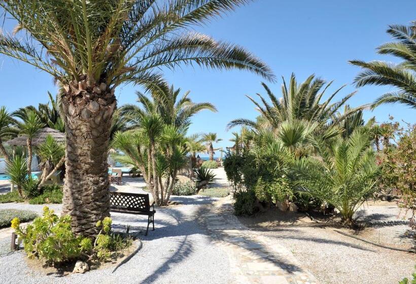 سوییت اجرایی, Medusa Beach Resort & Suites