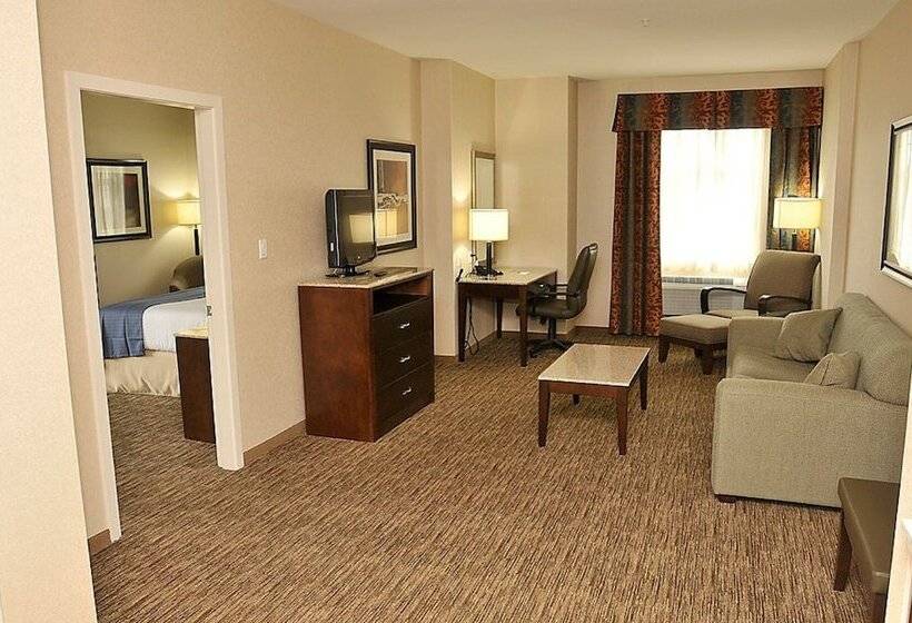 身障者適用スイートルーム, Holiday Inn Hotel & Suites Surrey East   Cloverdale, An Ihg