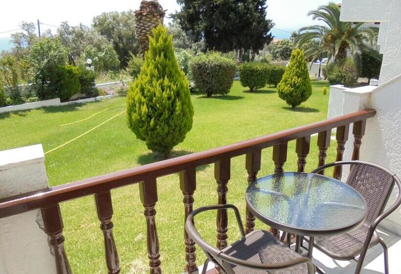 اتاق اکونومی, Paradise