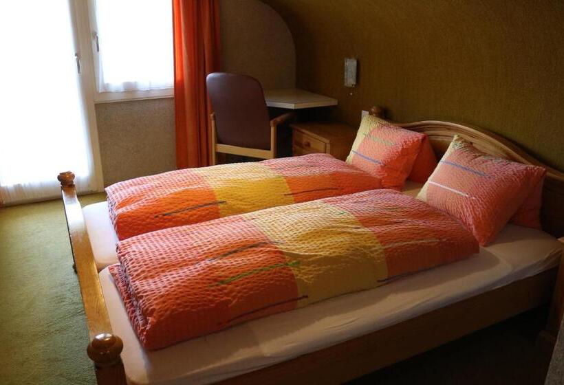 标准间, Adrenalin Backpackers Hostel