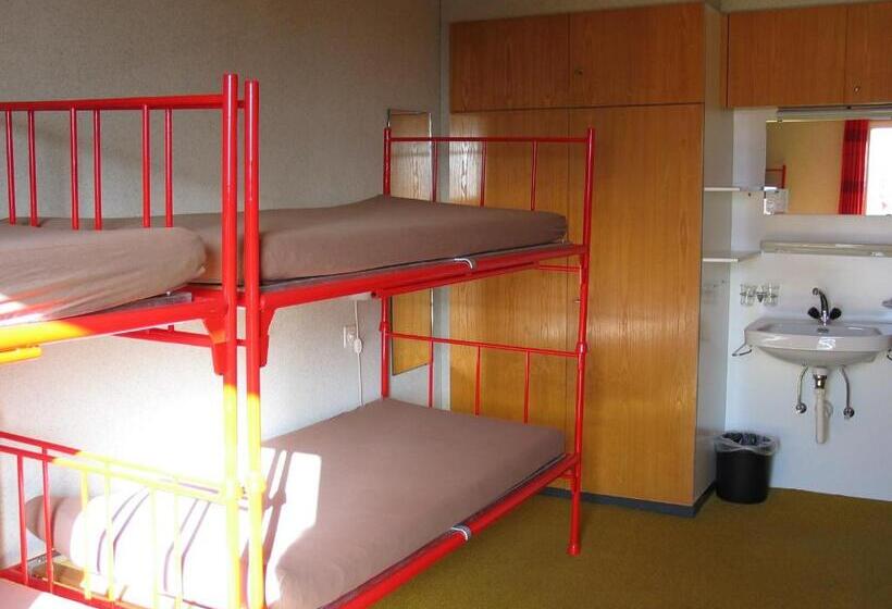 Кровать в Общей Комнате, Adrenalin Backpackers Hostel