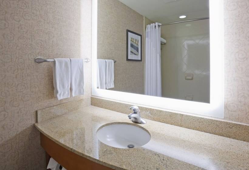 Номер Стандарт, Holiday Inn Hotel & Suites Maple Grove Northwest Minneapolis Arbor Lakes, An Ihg