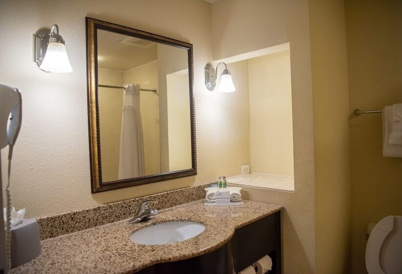 스탠다드 룸, Holiday Inn Express Hotel & Suites Chaffee   Jacksonville West, An Ihg