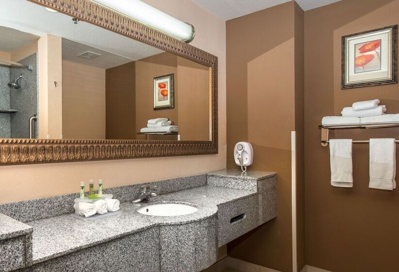 Люкс, Holiday Inn Express Hotel & Suites Lavonia, An Ihg