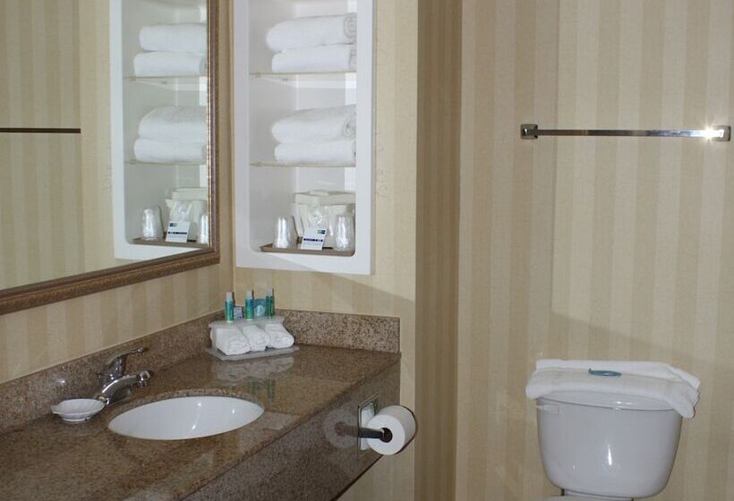 스위트, Holiday Inn Express & Suites Spring Hill, An Ihg