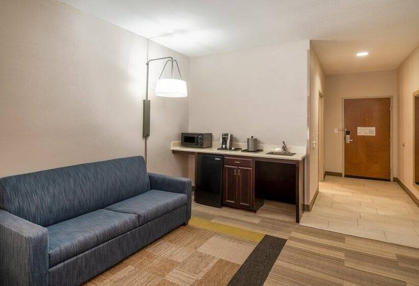 Люкс Адаптированный для Инвалидов, Holiday Inn Express Hotel & Suites Magee By Ihg