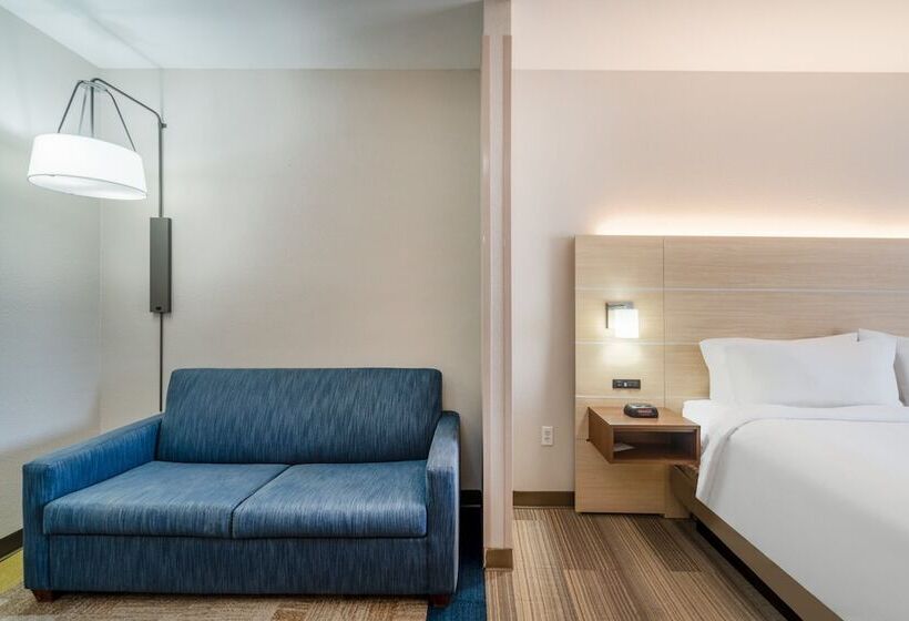 Люкс Адаптированный для Инвалидов, Holiday Inn Express Hotel & Suites Magee By Ihg