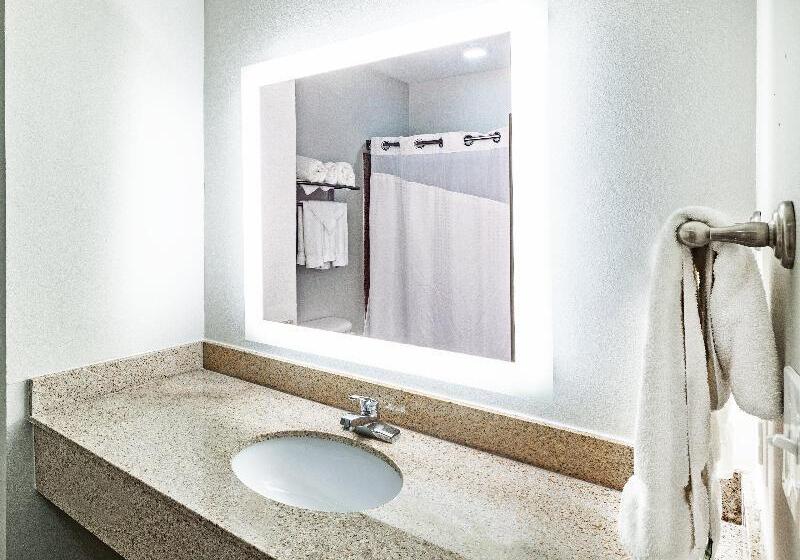 스탠다드 룸 킹사이즈 침대, Holiday Inn Express Hotel And Suites Shreveport South Park Plaza, An Ihg