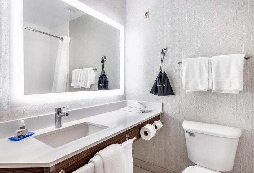 스탠다드 전망 룸, Holiday Inn Express Annapolis East Kent Island, An Ihg