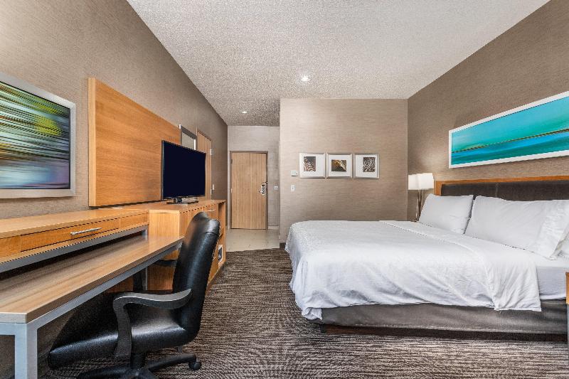 장애인을 위한 킹사이즈 침대 스탠다드 룸, Holiday Inn Express Annapolis East Kent Island, An Ihg
