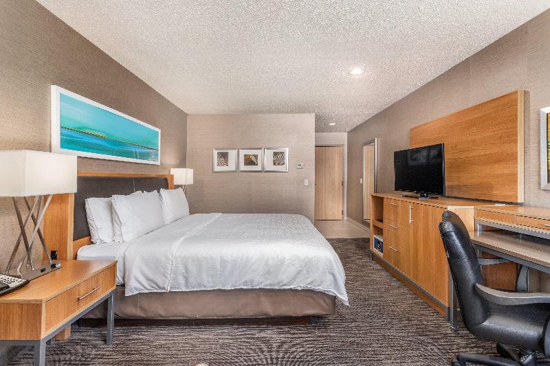 스탠다드 룸 킹사이즈 침대, Holiday Inn Express Annapolis East Kent Island, An Ihg