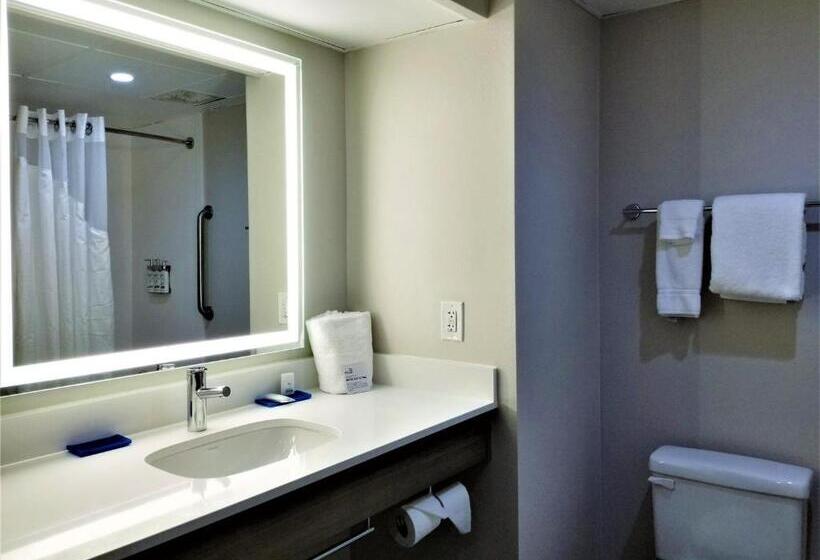 带大床的标准间, Holiday Inn Express Apex   Raleigh, An Ihg