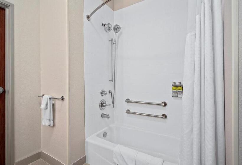 适合残疾人使用的标准间, Holiday Inn Express Suites Van Buren Ft Smith Area, An Ihg
