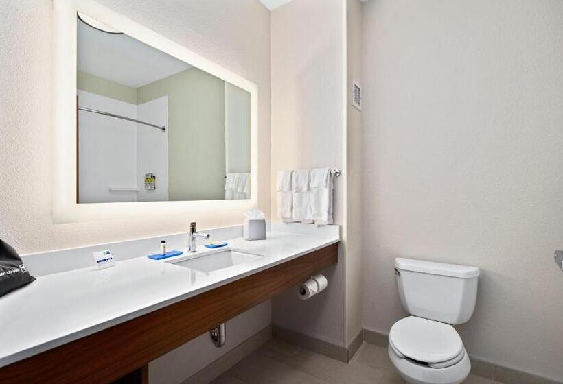 スタンダードルーム, Holiday Inn Express Suites Van Buren Ft Smith Area, An Ihg