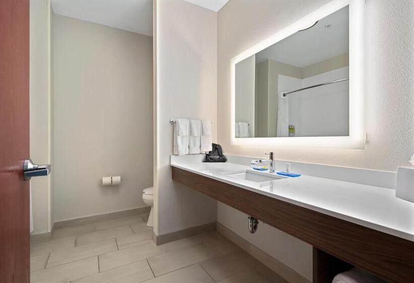 Номер Стандарт, Holiday Inn Express Suites Van Buren Ft Smith Area, An Ihg