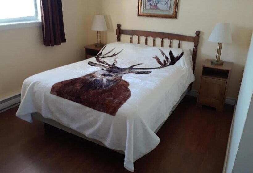 Номер Стандарт, Mountain View Motel
