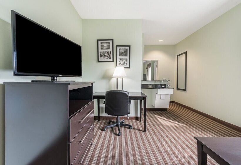 스위트, Days Inn & Suites By Wyndham Dallas