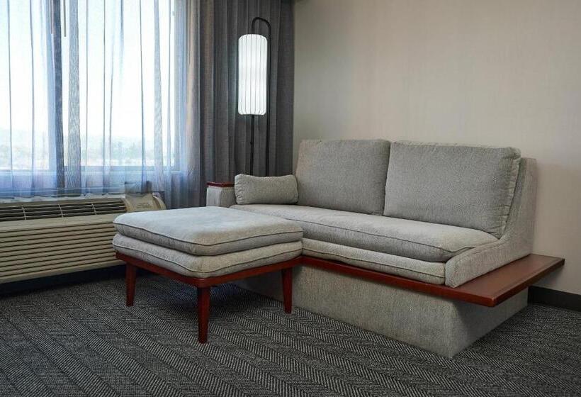 اتاق استاندارد با تخت بزرگ, Courtyard Medford Airport