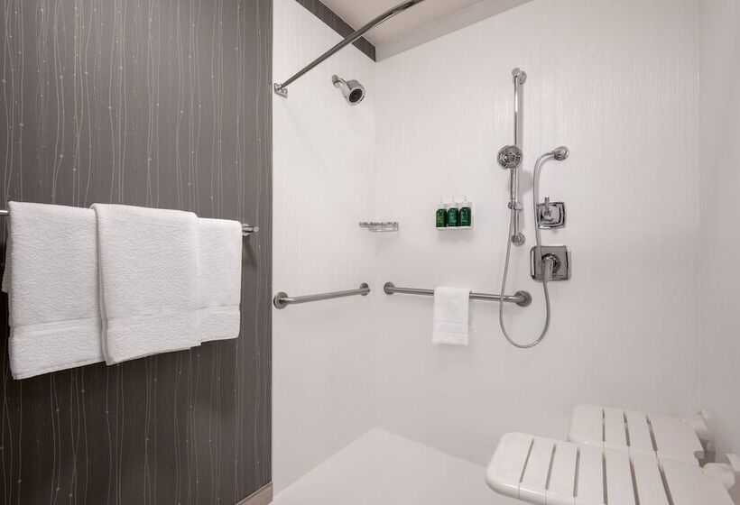 اتاق استاندارد با تخت دوبل, Courtyard By Marriott Reno
