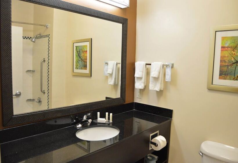Студия Стандарт, Fairfield Inn & Suites Houston Channelview