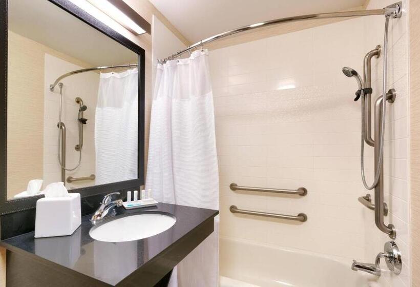 스탠다드 룸 킹사이즈 침대, Fairfield Inn & Suites Idaho Falls