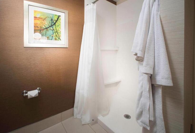 스탠다드 룸 킹사이즈 침대, Fairfield Inn & Suites Idaho Falls